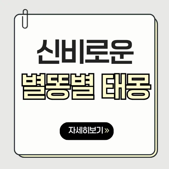 별똥별 태몽 뜻과 성별 일러스트