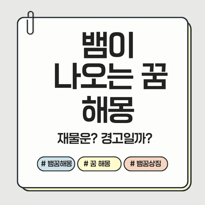 뱀 꿈 해몽 이미지